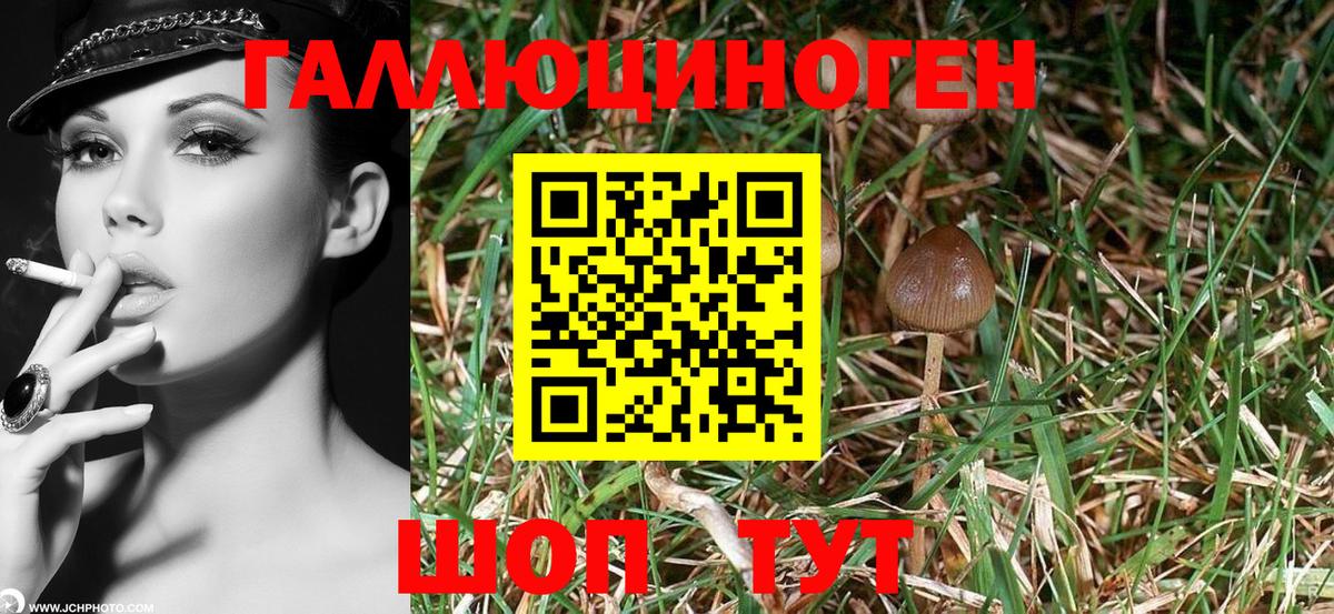 Галлюциногенные грибы ЛСД  Галлюциногенные грибы прущие грибы  Острогожск  Вход с VPN 